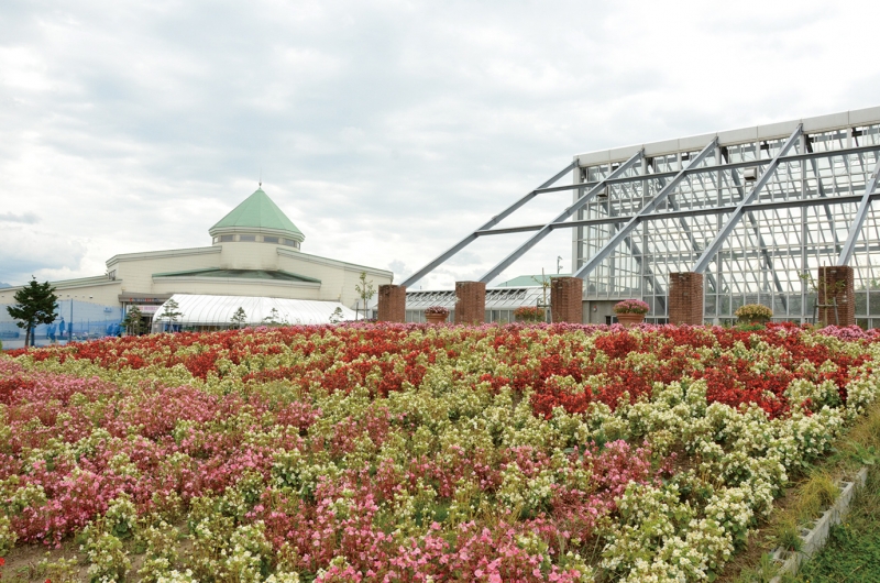 道の駅 しょうわ