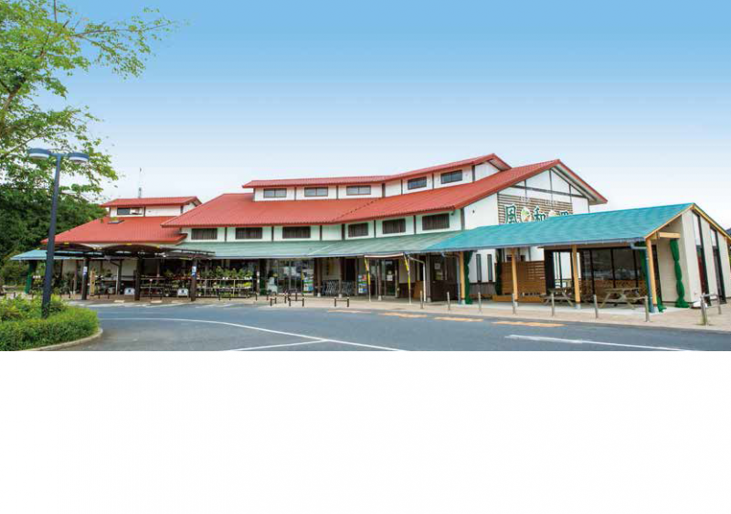 道の駅 風和里しばやま