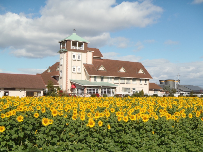 道の駅 東近江市あいとうマーガレットステーション