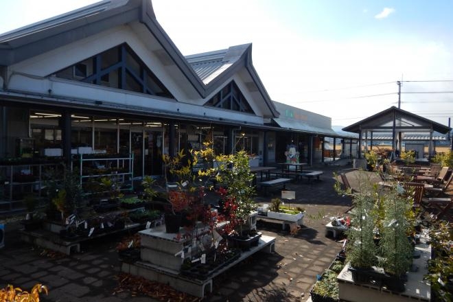 道の駅 しんよしとみ