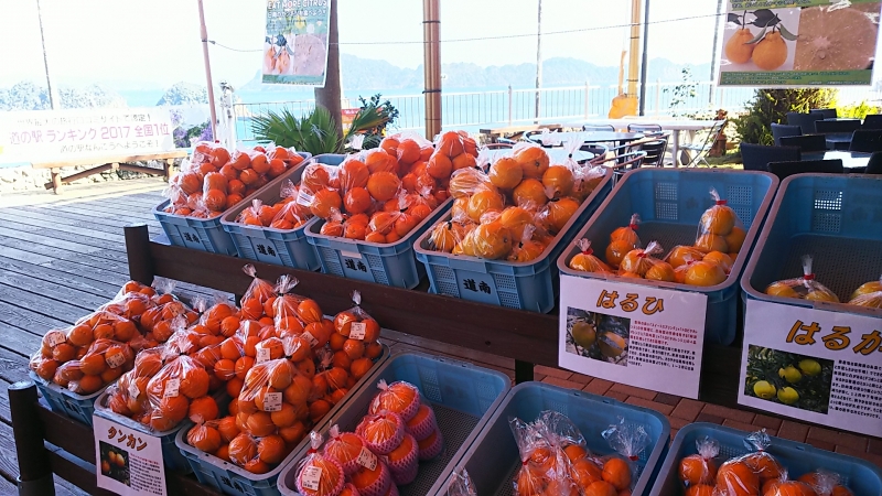 道の駅 なんごう